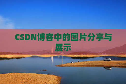 CSDN博客中的图片分享与展示